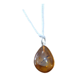 Allergie, bronche, apaise